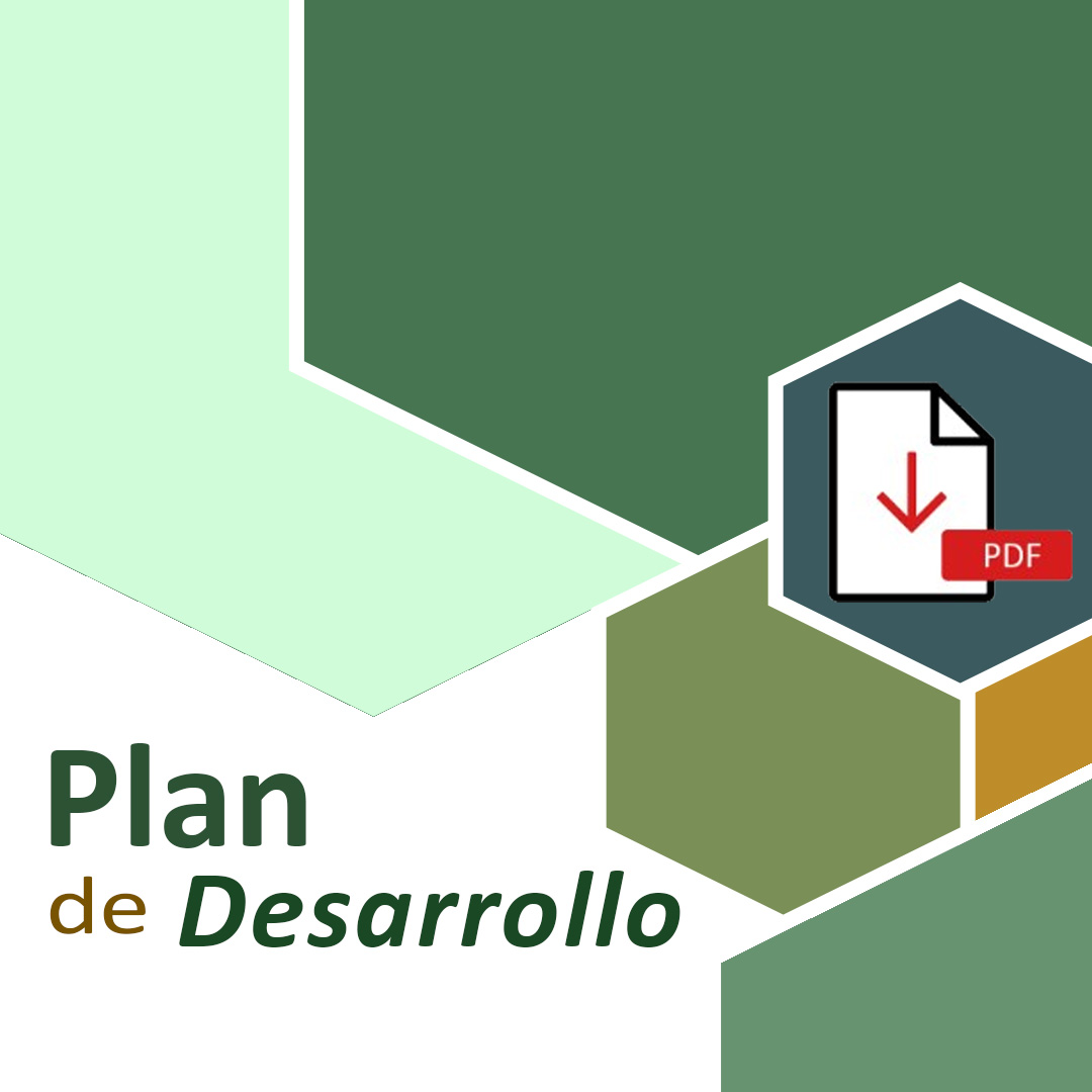 Plan de Desarrollo