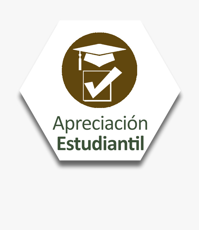 Link a la apreciación estudiantil