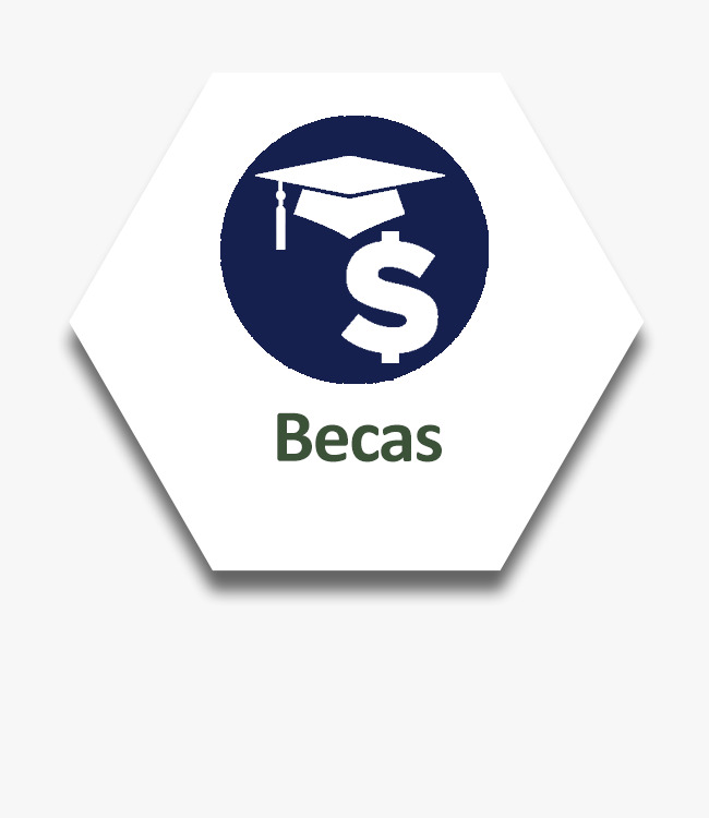 Link al Sistema Institucional de becas de la UAEMéx