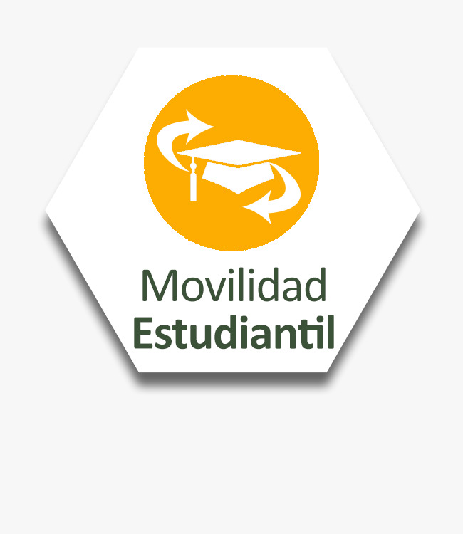 Link al sitio de Movilidad estudiantil